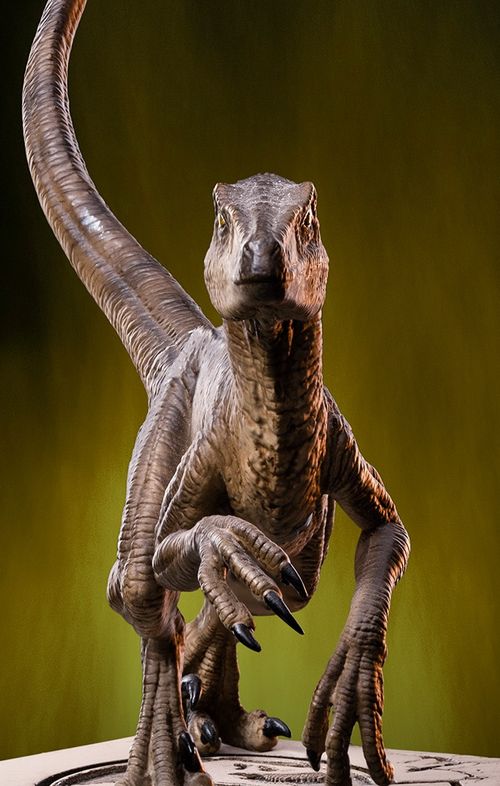 Statue Velociraptor B - Jurassic Park - Icons - Iron Studios